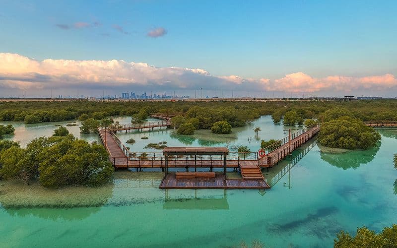 The 8 Best Hidden Gems in Abu Dhabi to See, Live and Do